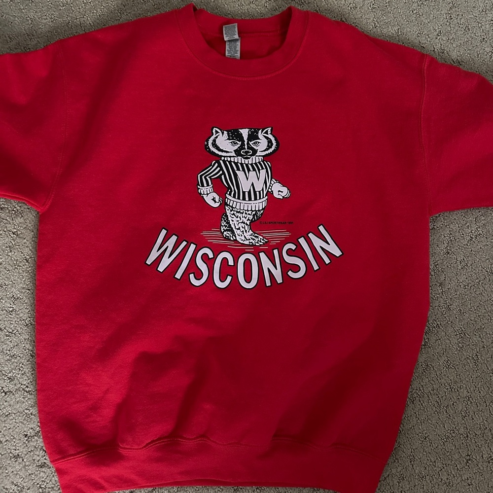 University of Wisconsin Sweatshirt